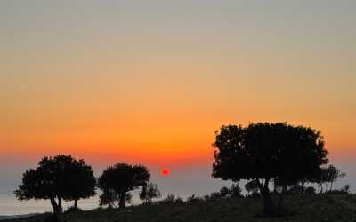 Wycieczka fakultatywna, Wycieczka Marathon Jeep Safari - Narodowy Park Akamas z Ayia Napa