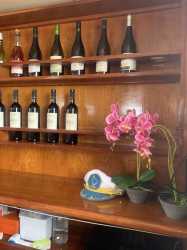 !tr_error=pl->rejs!, Wycieczka Marzenie rejs poranny z Protaras - marzenie to zobaczyć żółwie dla rodzin z barbecue