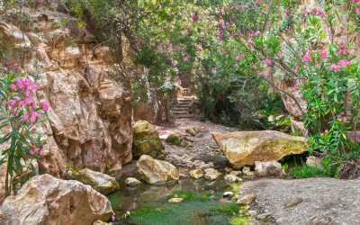 Wycieczka fakultatywna, Wycieczka Akamas Tour z Larnaki