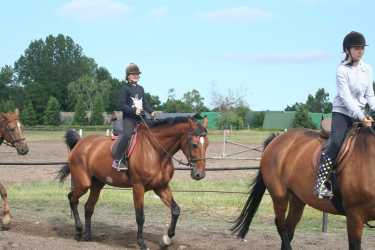 Obóz młodzieżowy, Niezapomniana Nadmorska Przygoda - OBÓZ KONNY (11-18 lat). Profesjonalne szkolenie dla początkujących, średnio zaawansowanych, zaawansowanych, obóz sportowo-szkoleniowy