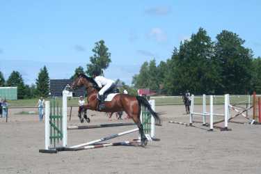 Obóz młodzieżowy, Niezapomniana Nadmorska Przygoda - OBÓZ KONNY (11-18 lat). Profesjonalne szkolenie dla początkujących, średnio zaawansowanych, zaawansowanych, obóz sportowo-szkoleniowy